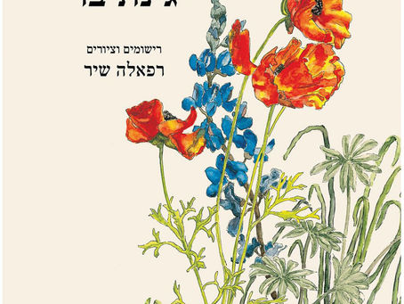 גינת בר - מאיר שלו