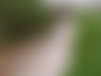 על חזון והגשמת חלומות - שיקום נחל הדס