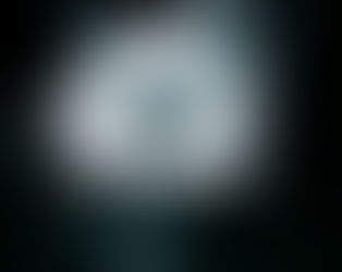 ספר שהוא פתח לעולם שלא הכרתי "שפת הפרחים"