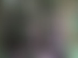 השראה מהיער הקסום, בשמורת אורדסה בפירינאים בספרד