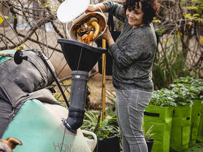 קיימות ואיך זה בכלל קשור אלי?!