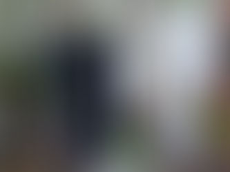 שנה ללא קניות