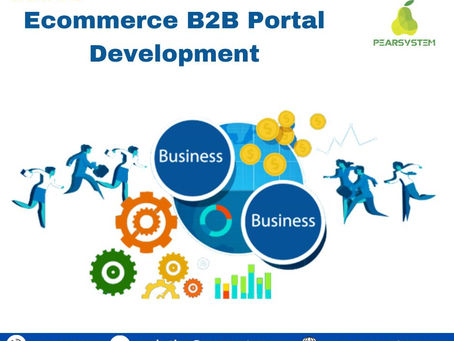Develop Your Custom B2B Website Portal from Scratch