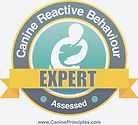CRB Expert Badge_edited_edited.jpg