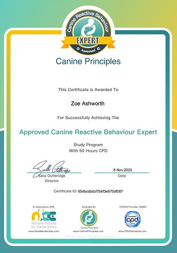 Canine Reactivity Cert jpg.jpg