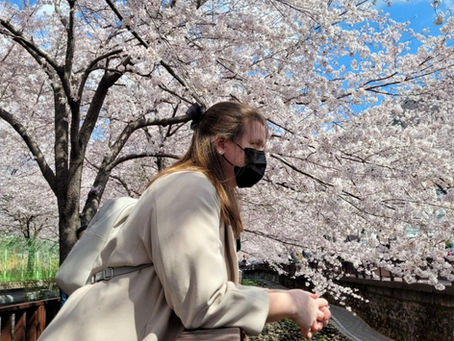 An Ode To The Cherry Blossom