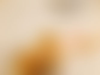 犬カフェの楽しみ方｜初めてでも安心して過ごすコツ