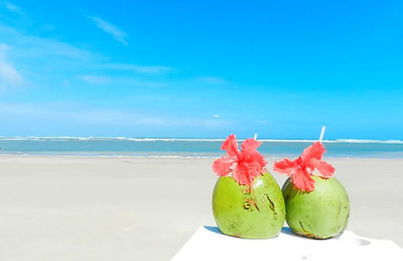 passeios-em-porto-de-galinhas