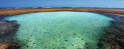 passeios-em-porto-de-galinhas