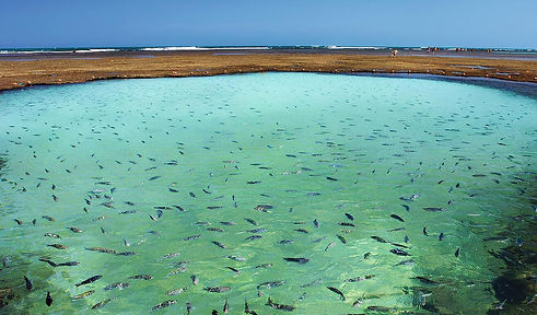 resorts_em_porto-de-galinhas (29).jpg