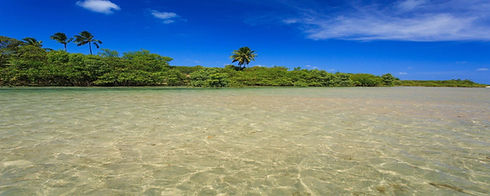 passeios-em-porto-de-galinhas
