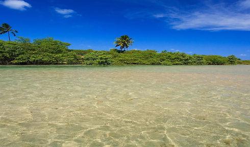 passeios-em-porto-de-galinhas