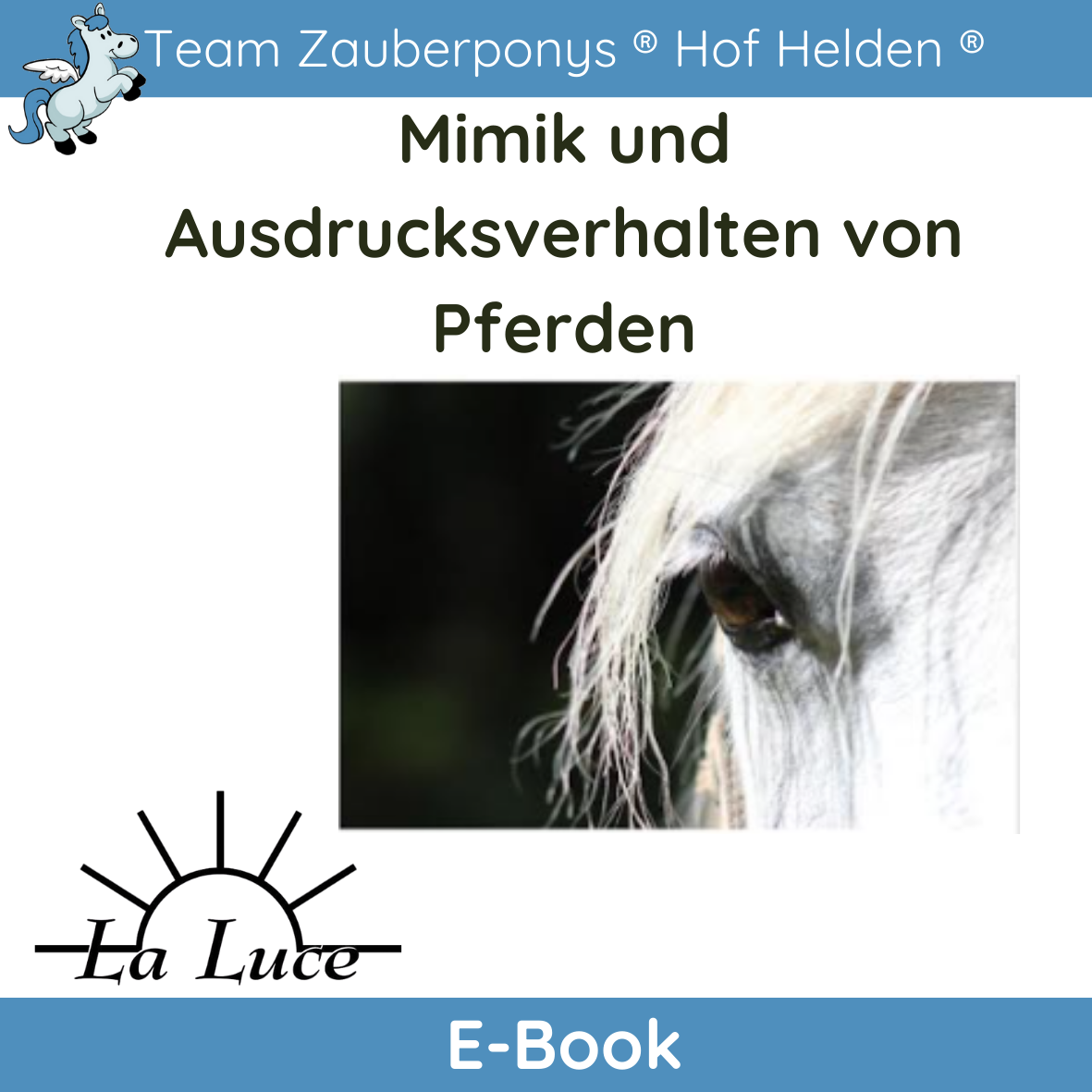 E-Book "Mimik& Ausdrucksverhalten von Pferden"