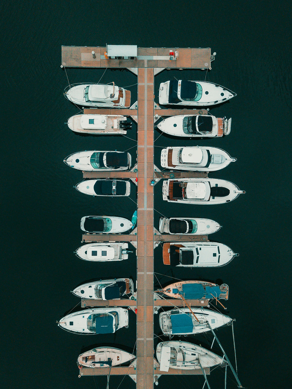 by Elton Sa (https://unsplash.com/@bigeruta)