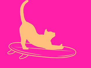 Cat on a surfboardd