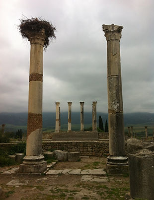 volubilis columns.jpg