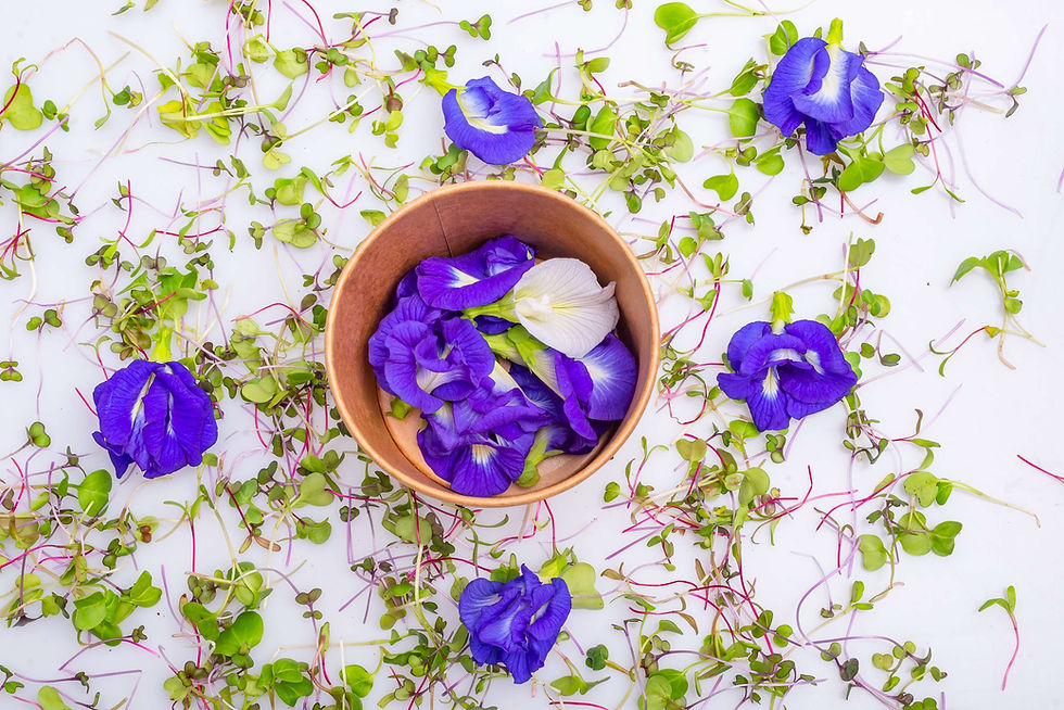 Miniatura: Mix Flores G ( 15 Uni)