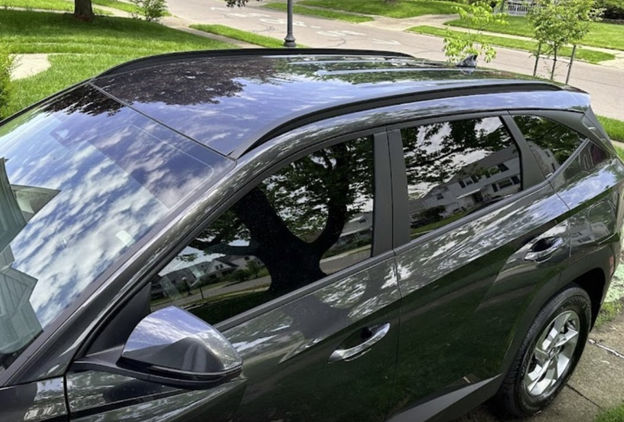 Window Trim Chrome Delete