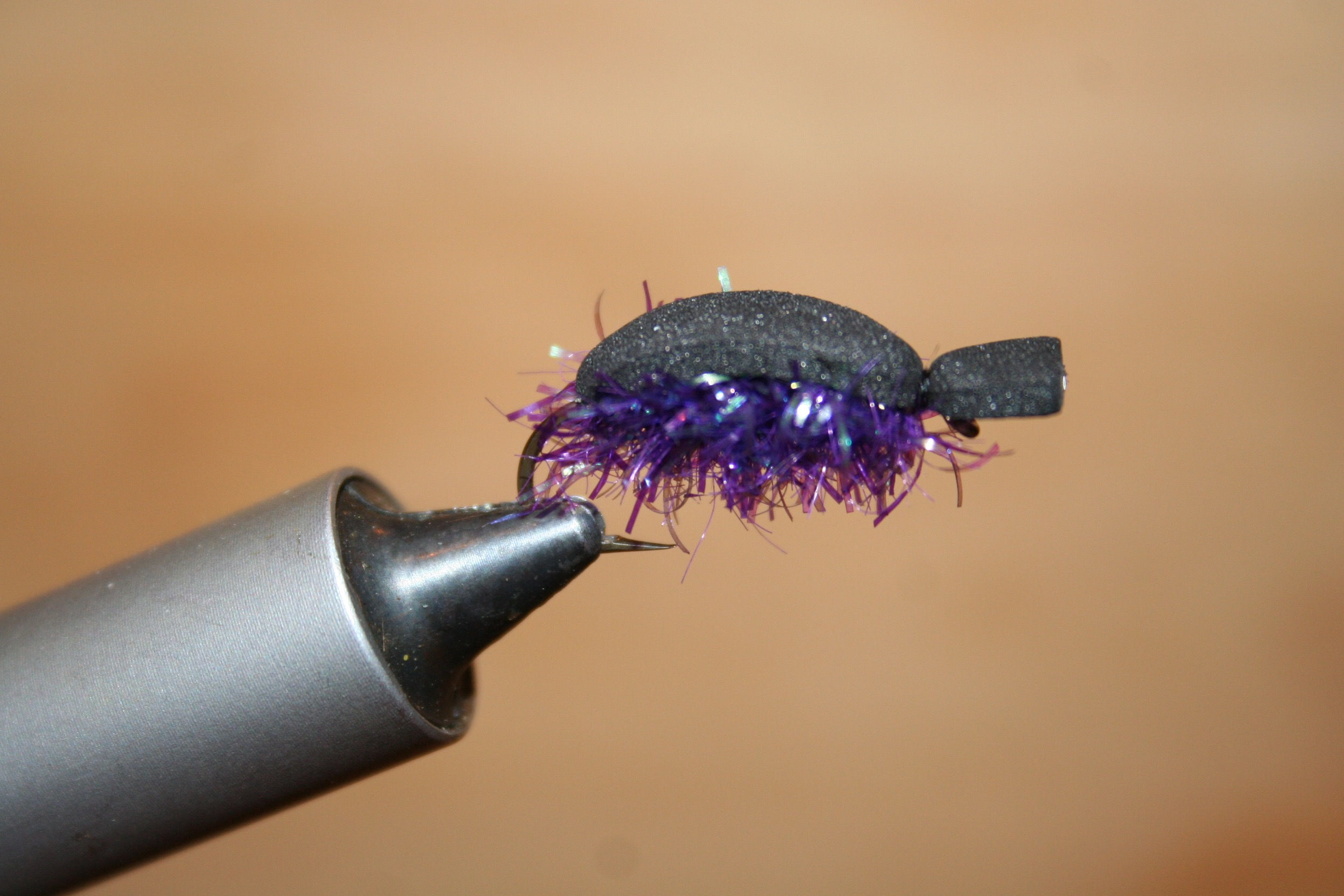 Pyramid Lake Black Beetle