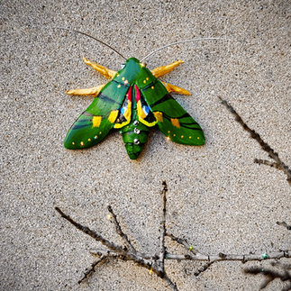 Green and gold Gaudy Sphinx moth sculpture made from polymer clay with crystal accents