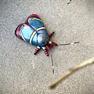 Vibrant Diva Hemerophila moth sculpture in black clay with mica shimmer and Swarovski crystals