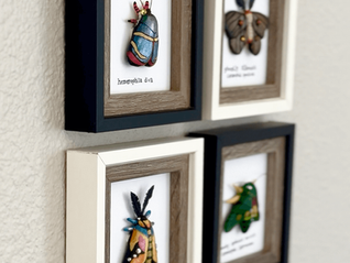 Four framed polymer clay moths with their scientific names inscribed below. 