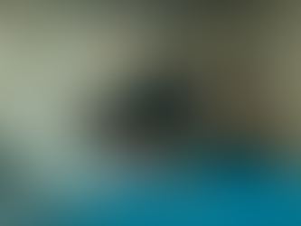 Coach Parkour Privé Lausanne : 3 Méthodes pour Progresser en Sécurité