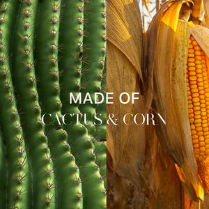 digital ads lina ortega alohas brand creative video