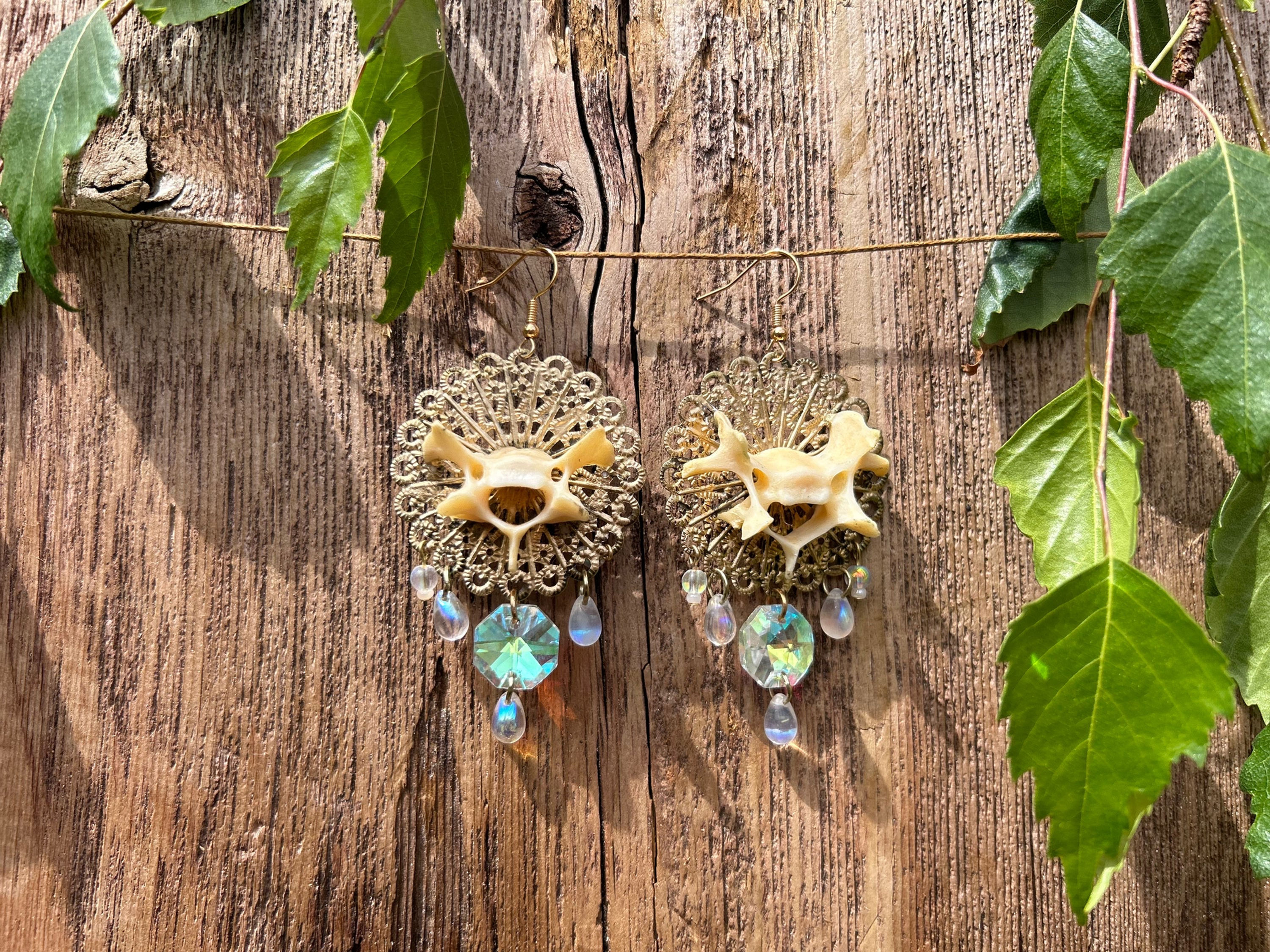 Spine Bone Sun Catcher Earrings