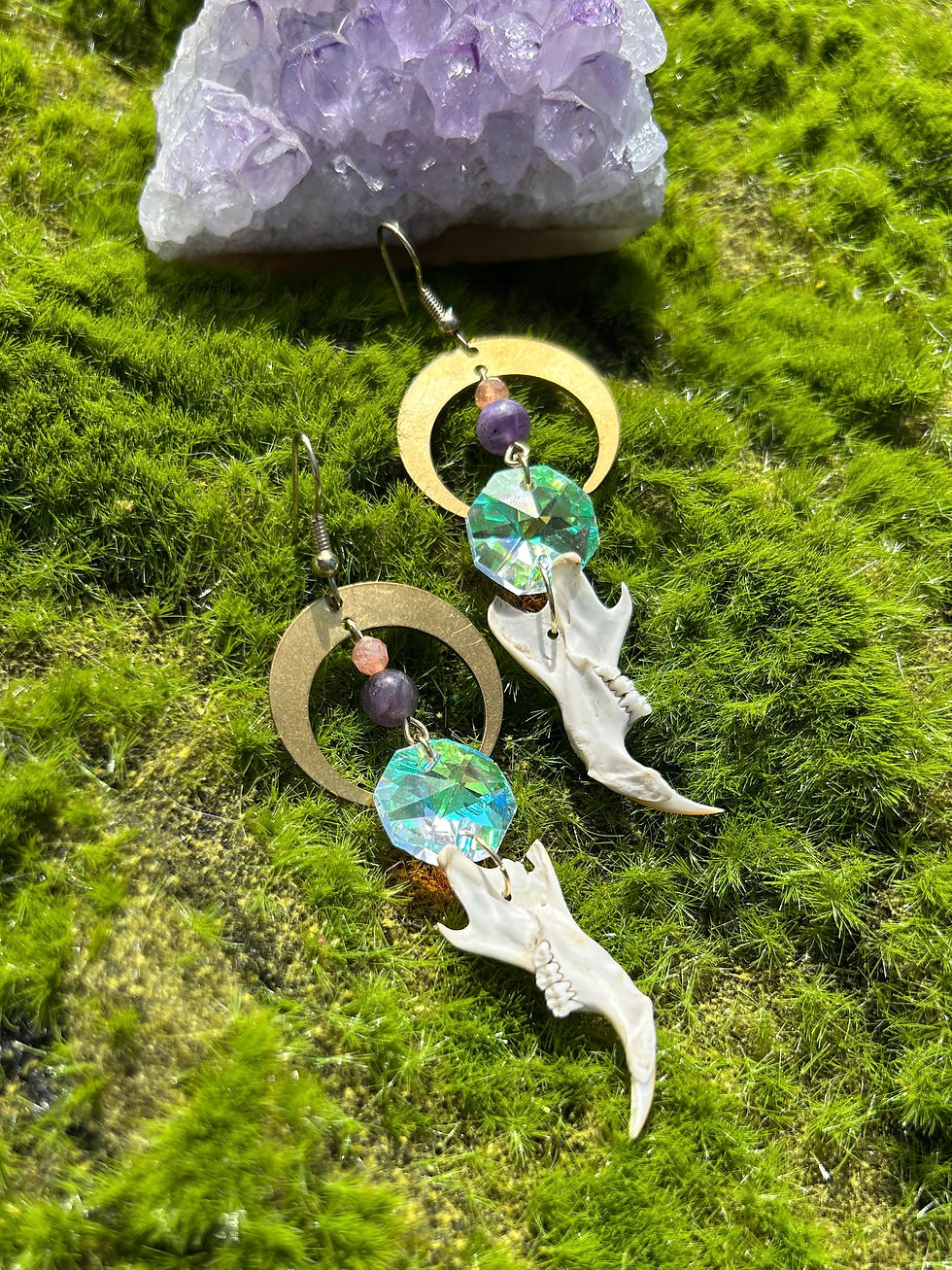 Thumbnail: Rat Jaw Sun Catcher Earrings