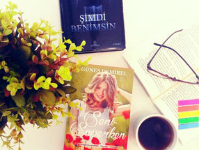 Seni Severken – Güneş Demirel