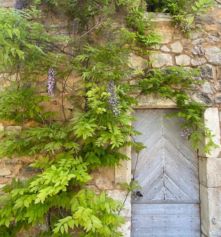 Extérieur cabanon