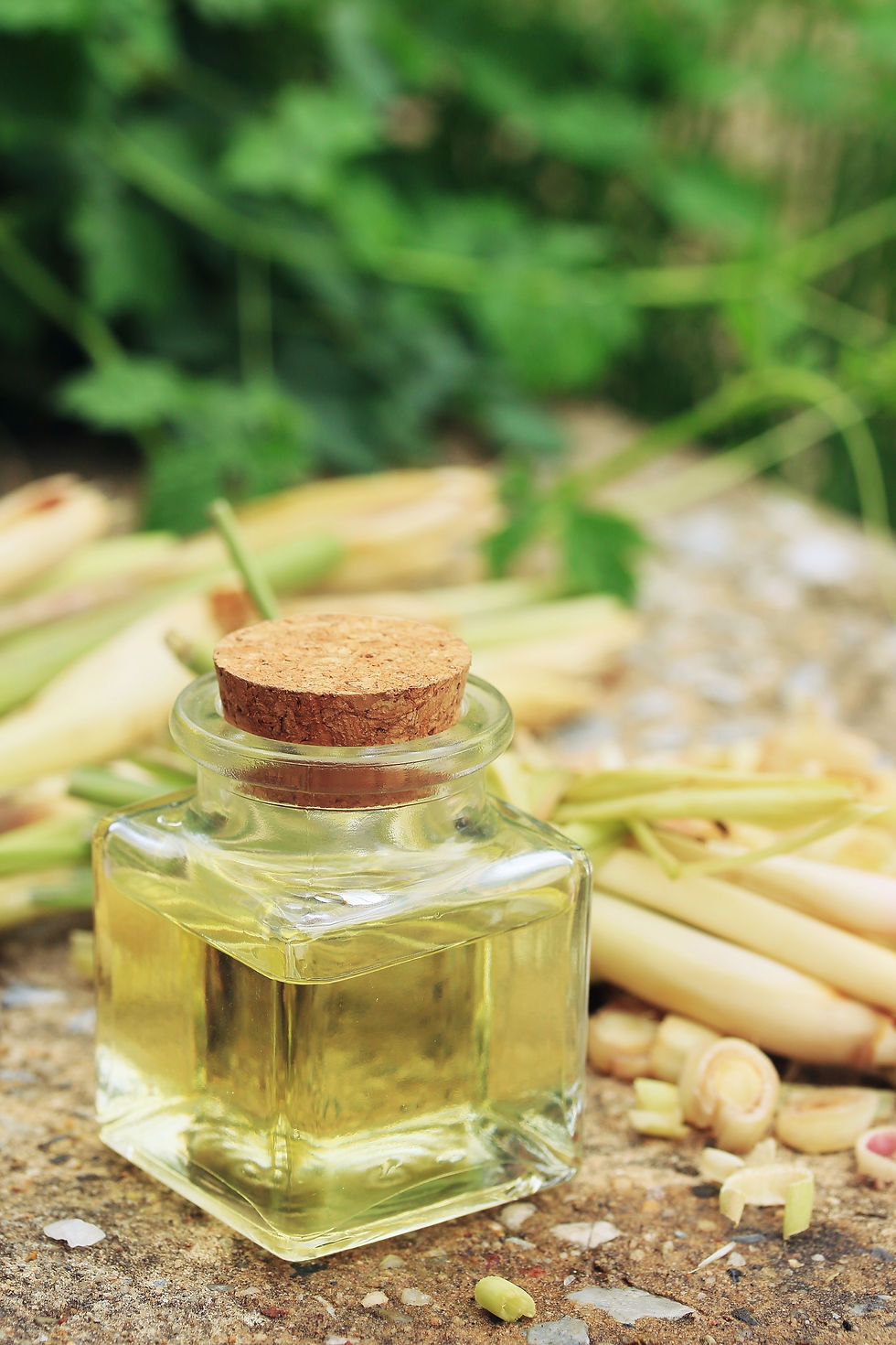 Lemon Grass essential oil
