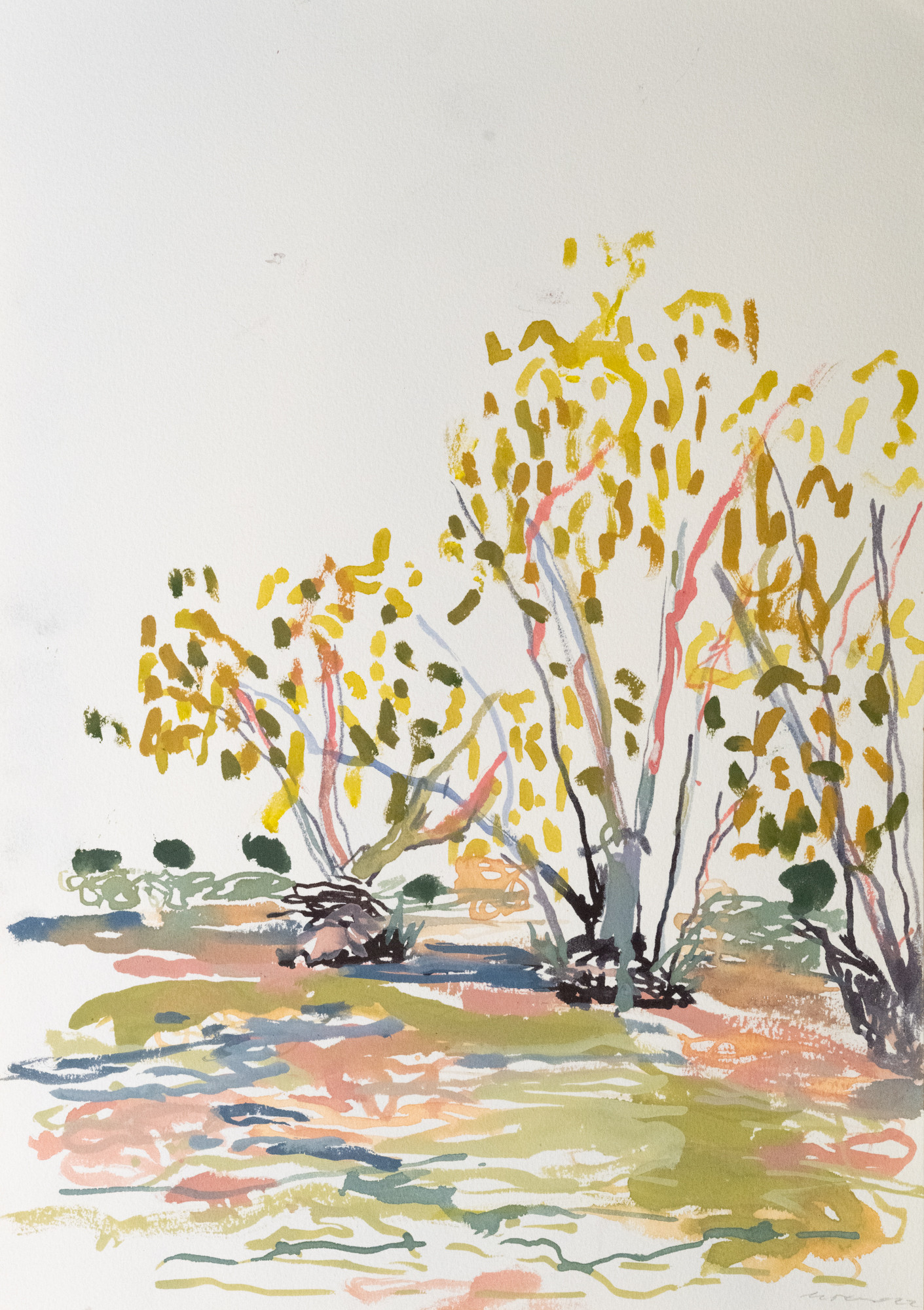 Bough Waterhole 1