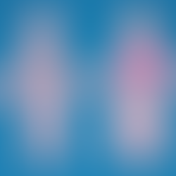 She Loves Me. She Loves Me Not.