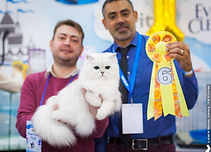 20190302_1000.jpg