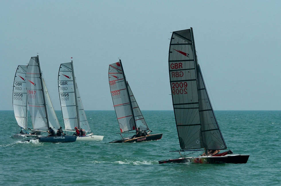 Shearwaters_Hastings_TT_2014_07_9243.jpg