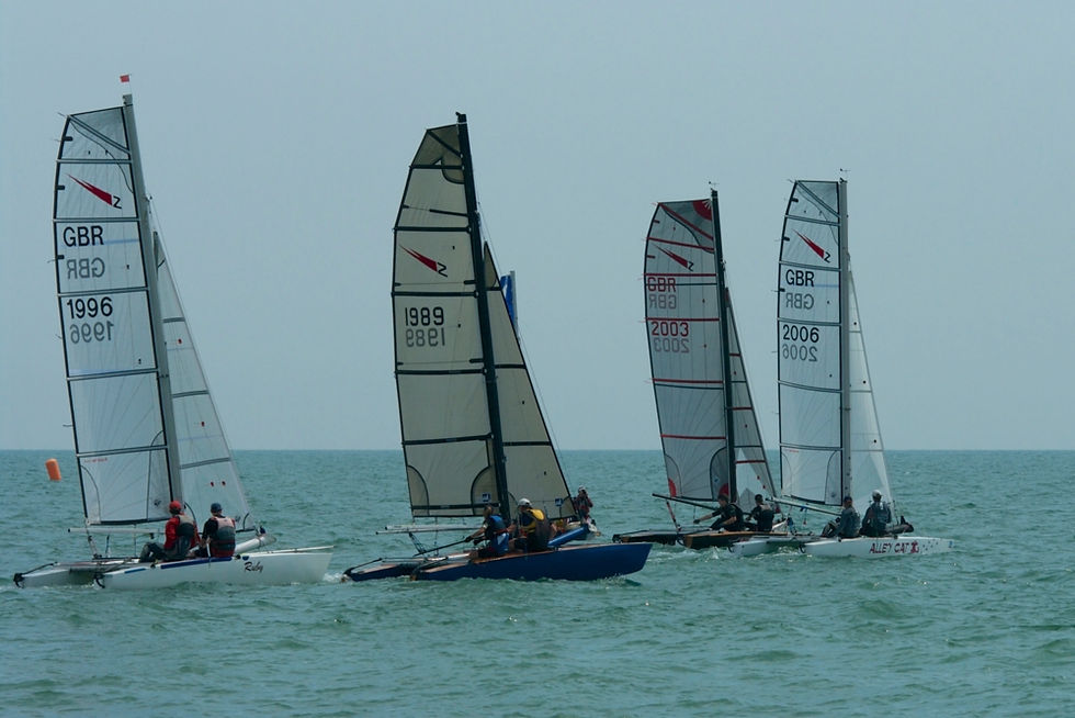 Shearwaters_Hastings_TT_2014_07_9226.jpg