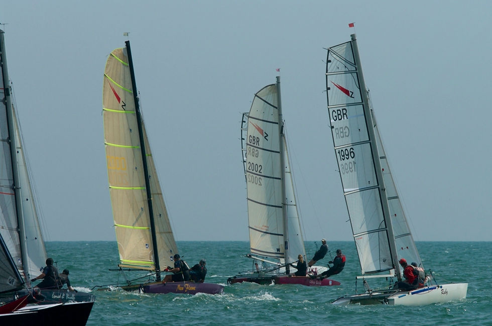 Shearwaters_Hastings_TT_2014_07_9249.jpg