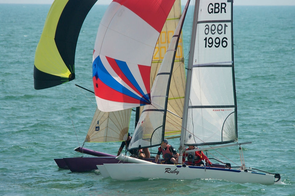 Shearwaters_Hastings_TT_2014_07_9252.jpg