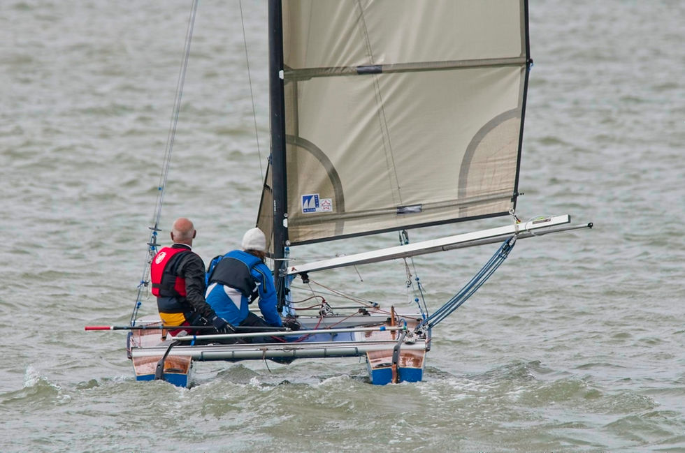 Shearwater_TT_Minnis_Bay_2016_05_3142.jp