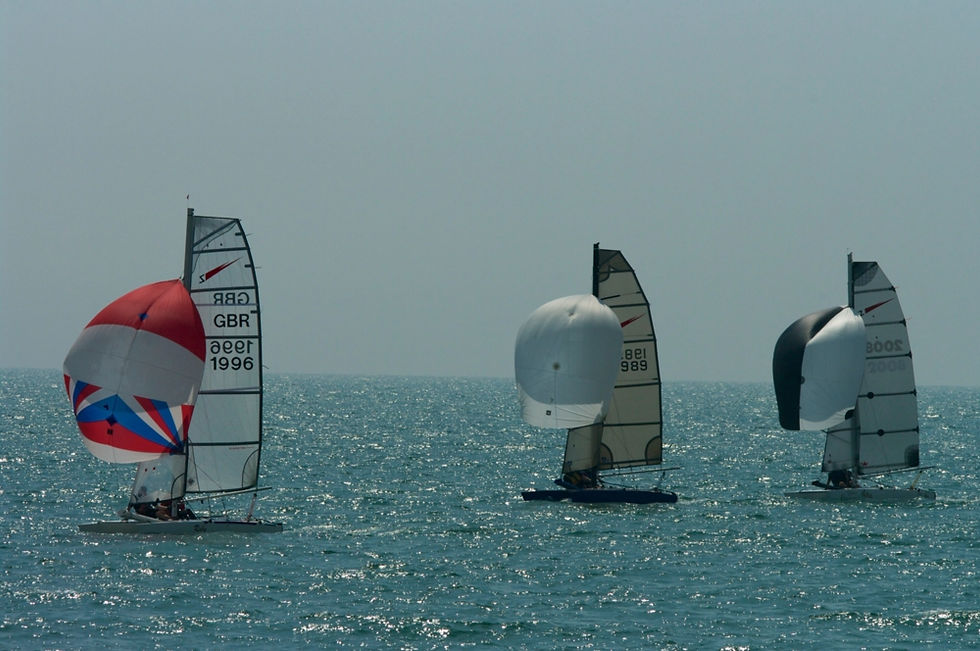 Shearwaters_Hastings_TT_2014_07_9240.jpg