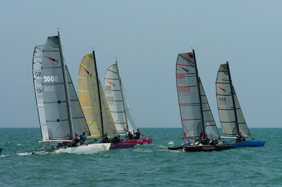 Shearwaters_Hastings_TT_2014_07_9248.jpg