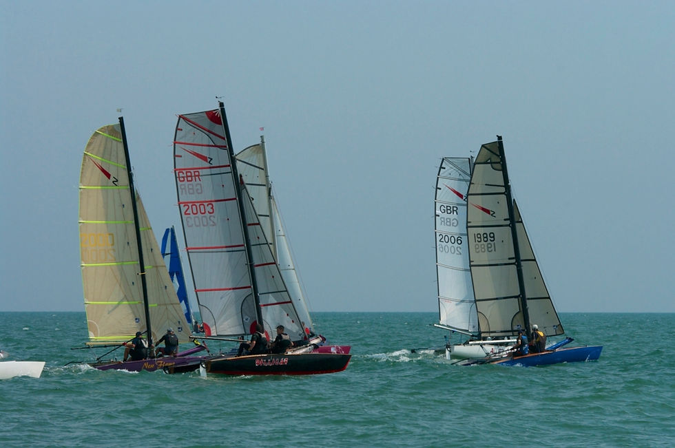 Shearwaters_Hastings_TT_2014_07_9245.jpg