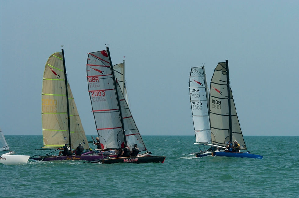 Shearwaters_Hastings_TT_2014_07_9246.jpg