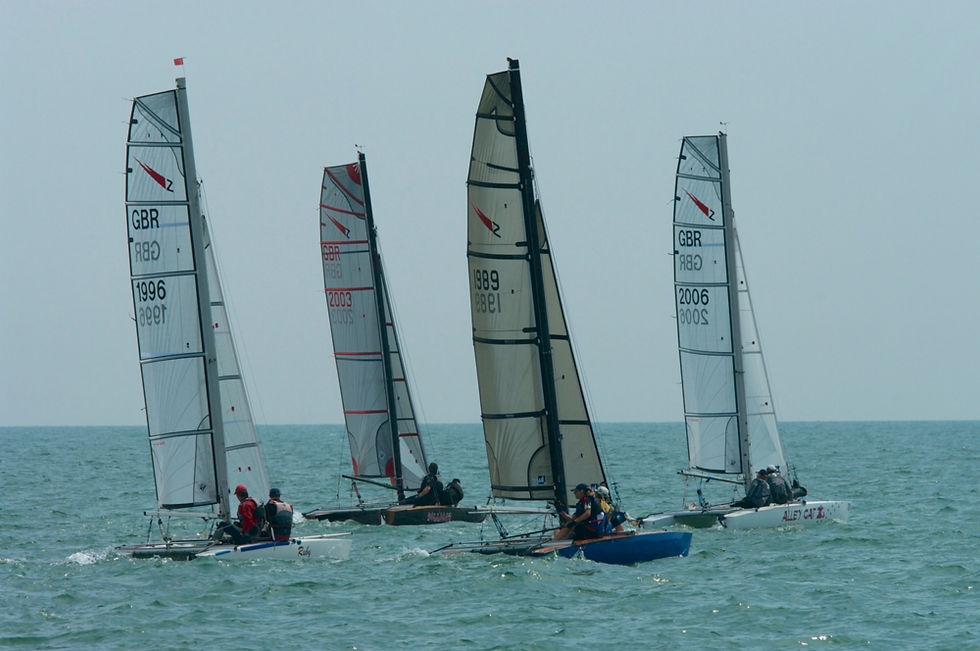 Shearwaters_Hastings_TT_2014_07_9230.jpg
