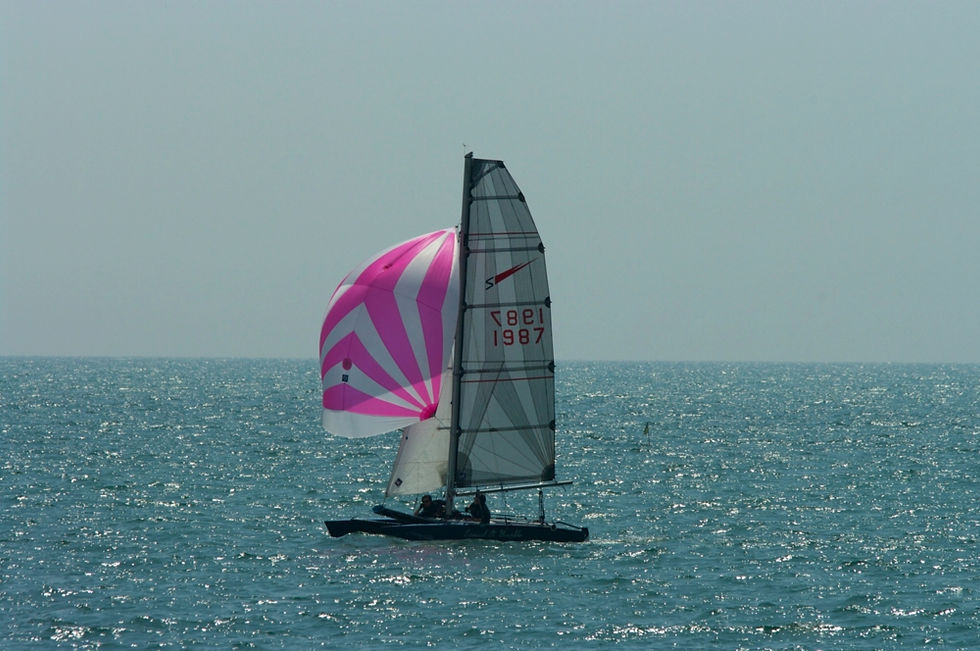 Shearwaters_Hastings_TT_2014_07_9237.jpg
