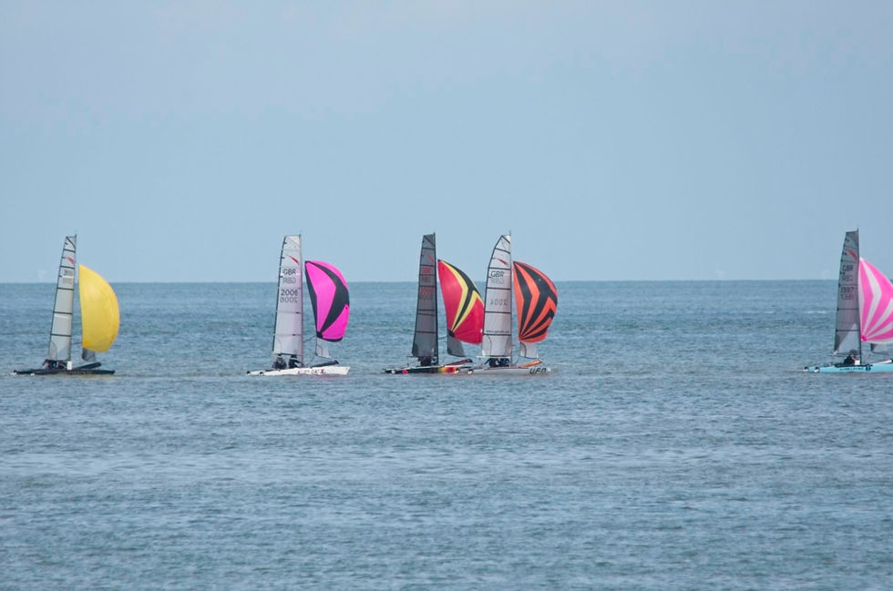 Shearwater_TT_Minnis_Bay_2016_05_3166.jp