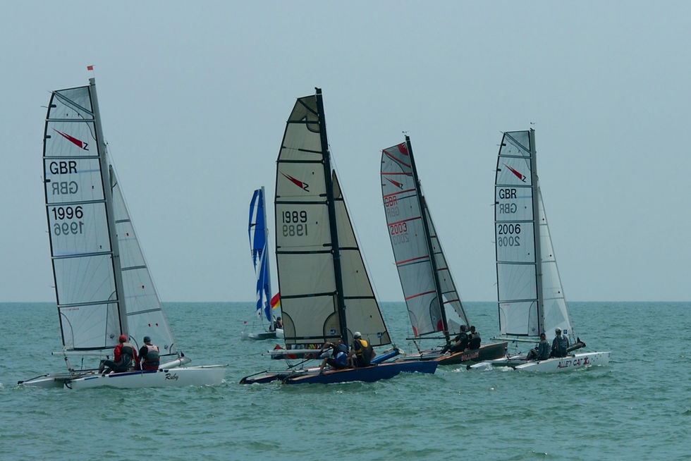 Shearwaters_Hastings_TT_2014_07_9227.jpg