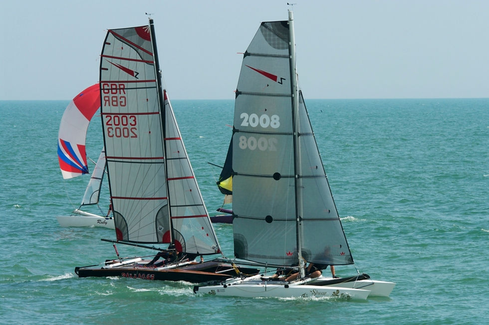 Shearwaters_Hastings_TT_2014_07_9254.jpg